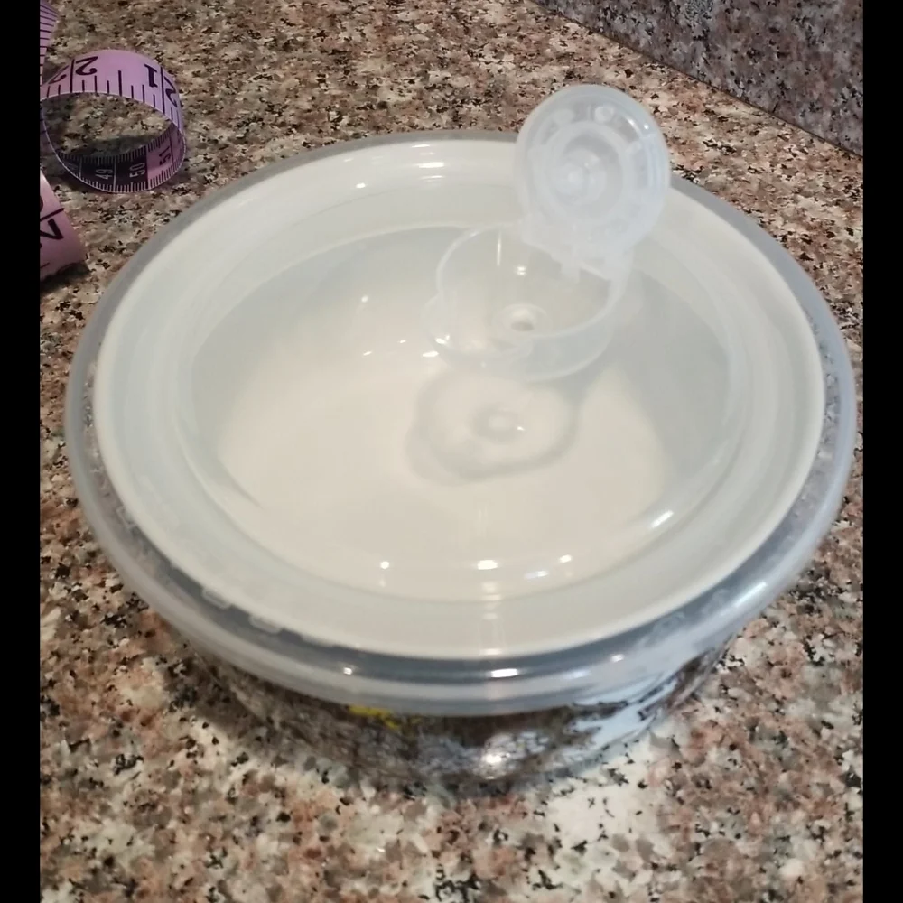 NEW Snoopy Floral food storage